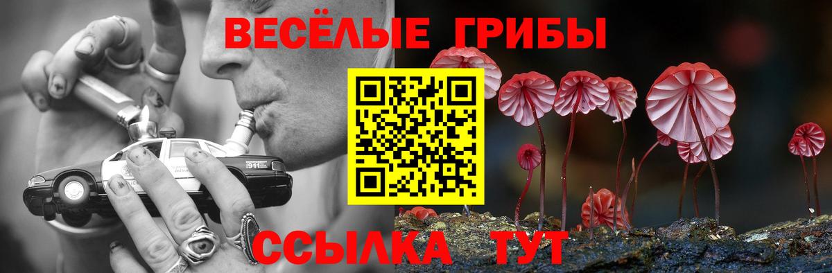 Псилоцибиновые грибы мицелий  Галлюциногенные грибы Cubensis  Вход с VPN  Гудермес 