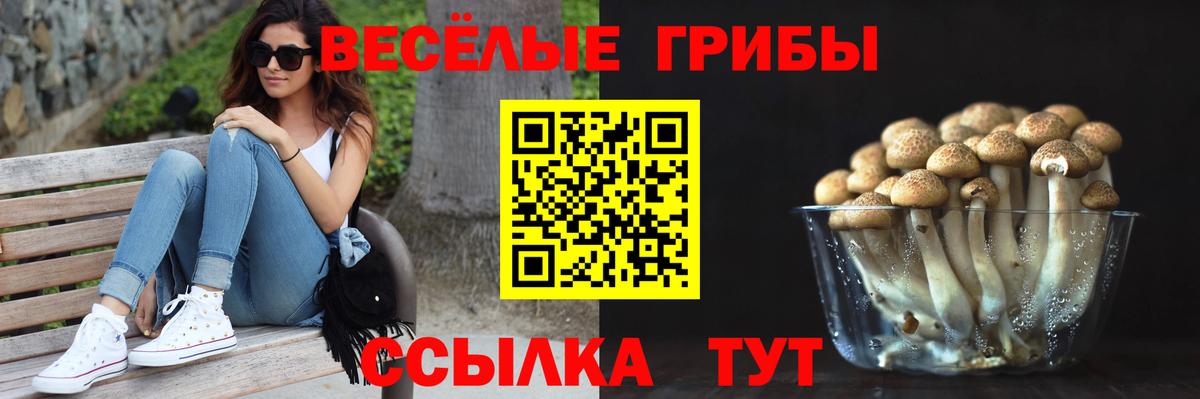 Галлюциногенные грибы прущие грибы Гудермес