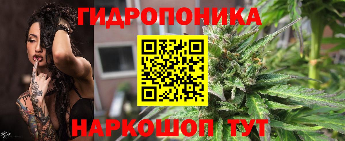 Шишки марихуана SATIVA & INDICA  Каннабис Ganja  Вход с VPN  Бошки марихуана VHQ  Гудермес 